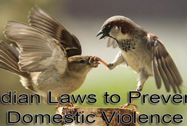 Indian laws to prevent Domestic Violence