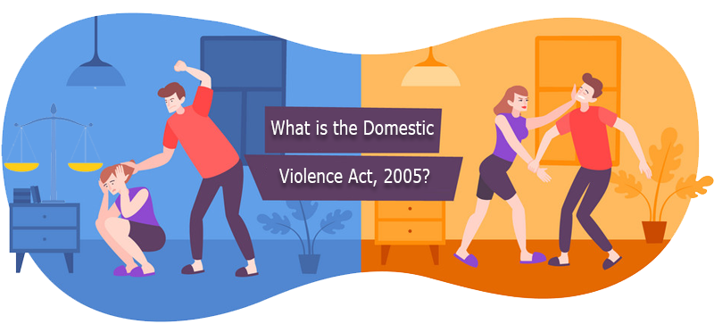 What is the Domestic Violence Act, 2005?